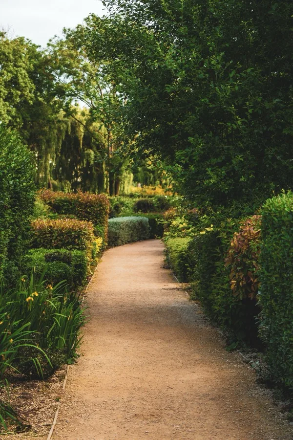 A manicured garden pathway lined with trimmed hedges and lush plantings