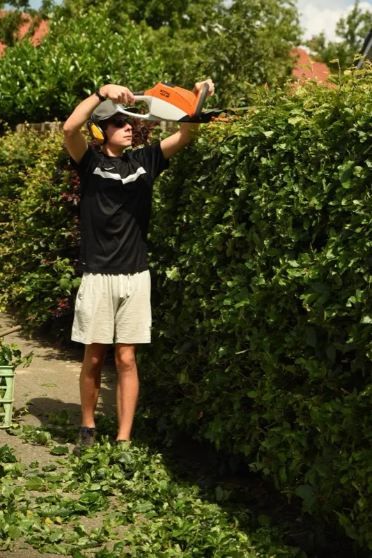 Hedge trimming service creating a clean, shaped hedge line