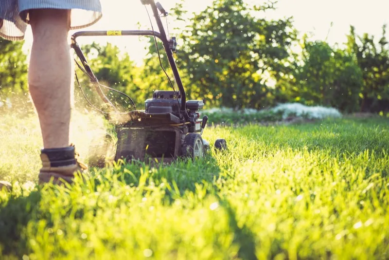Push mower cutting a lush green lawn